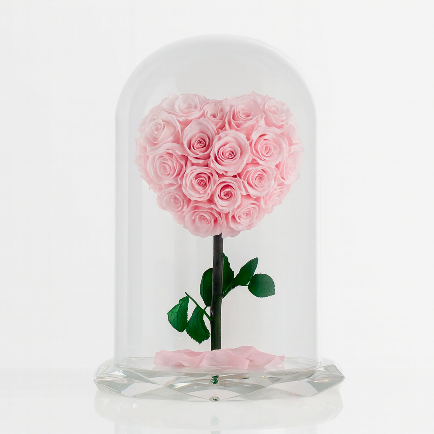 Forever rose pink heart