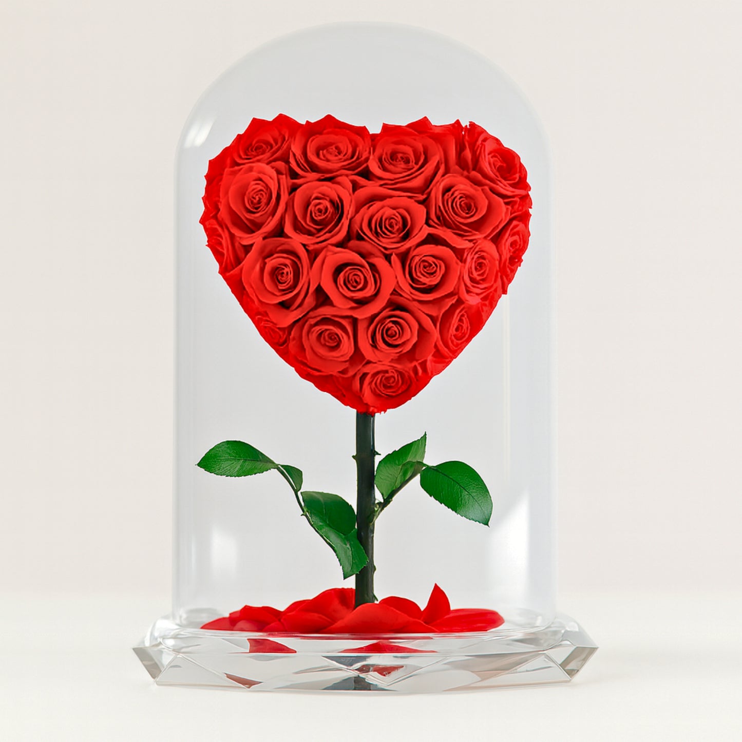 Forever rose red heart