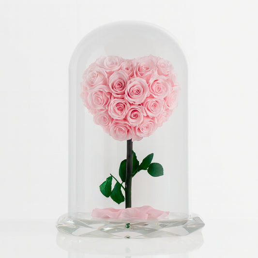 Forever rose pink heart