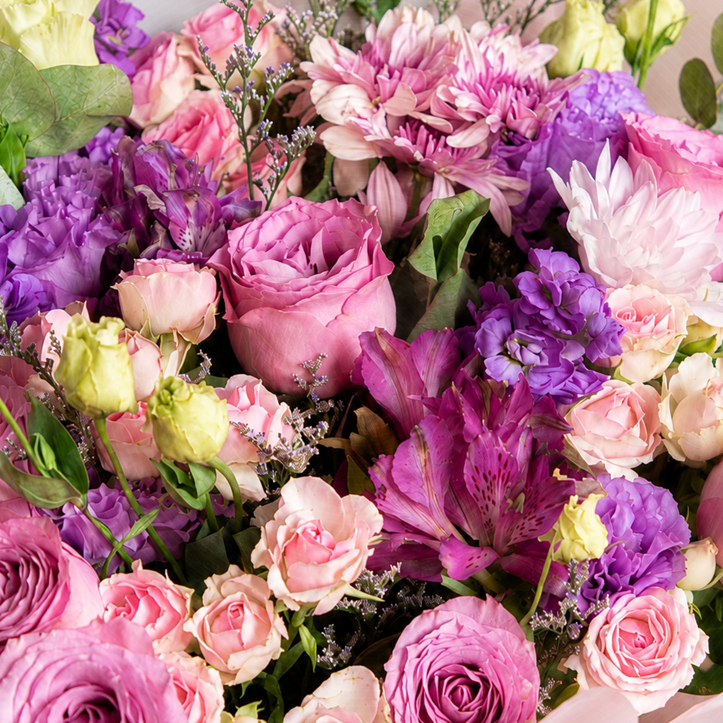 Maison Fleur