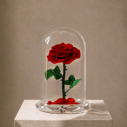 Forever Rose Red