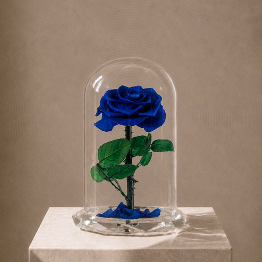 ⁠Forever Rose Blue