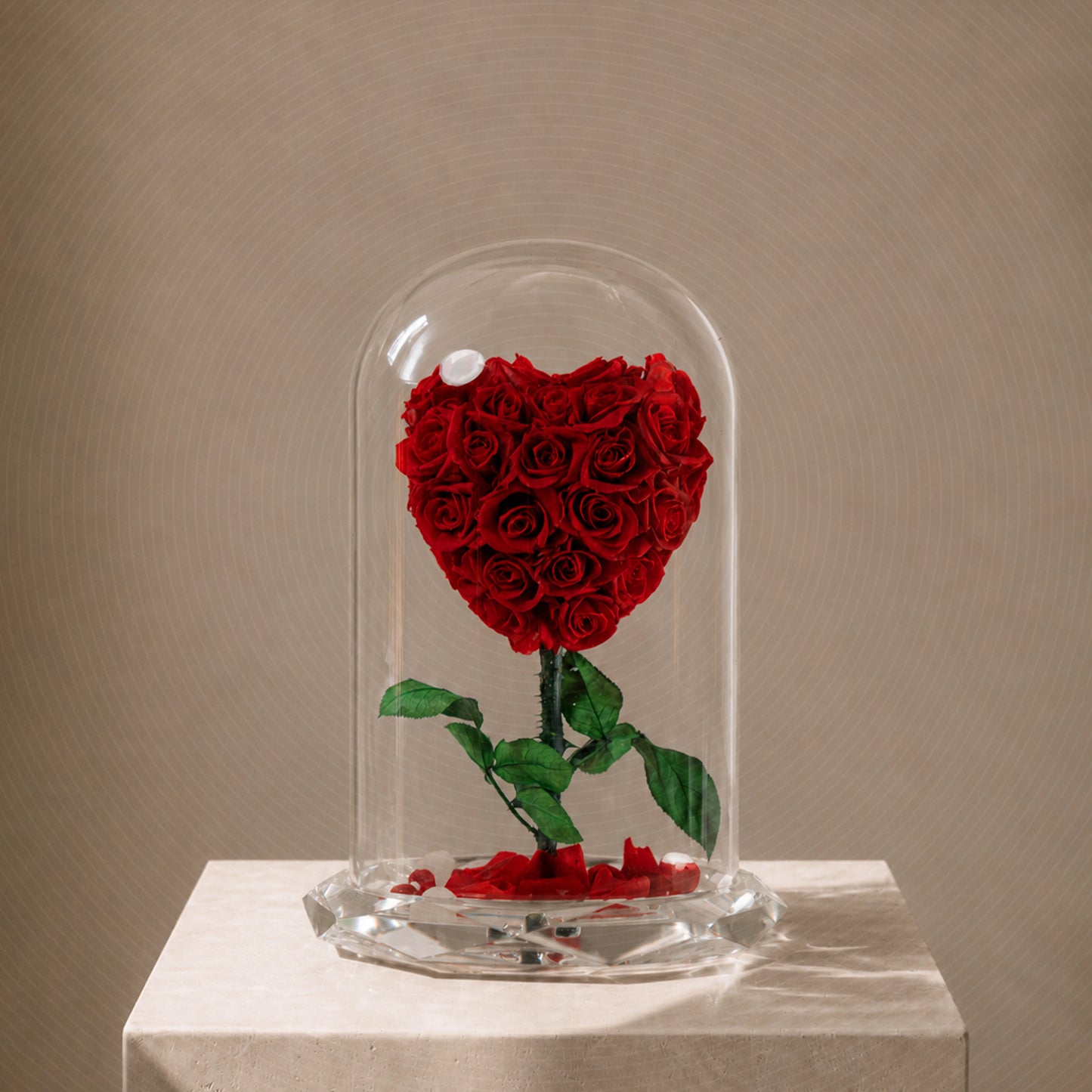 Forever rose red heart