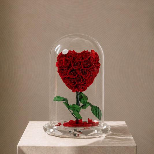 Forever rose red heart