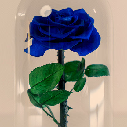 ⁠Forever Rose Blue
