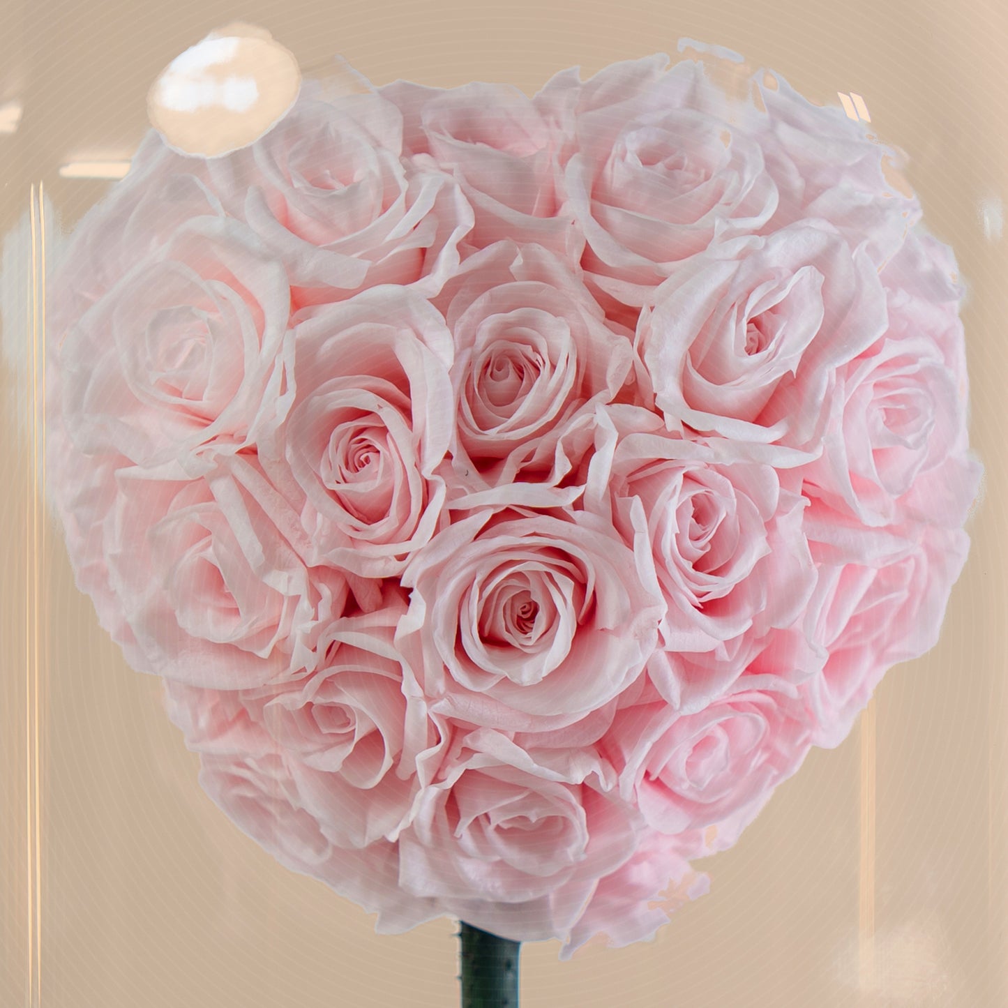 Forever rose pink heart