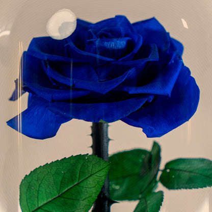 ⁠Forever Rose Blue