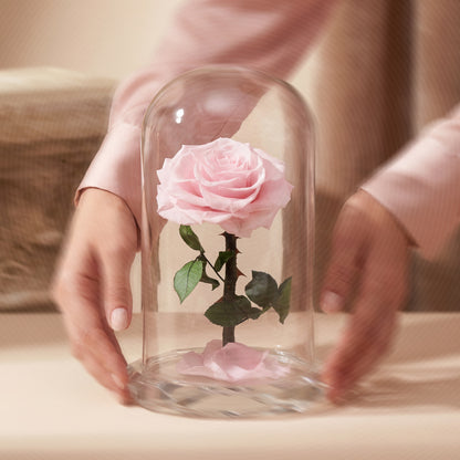 ⁠Forever Rose Pink