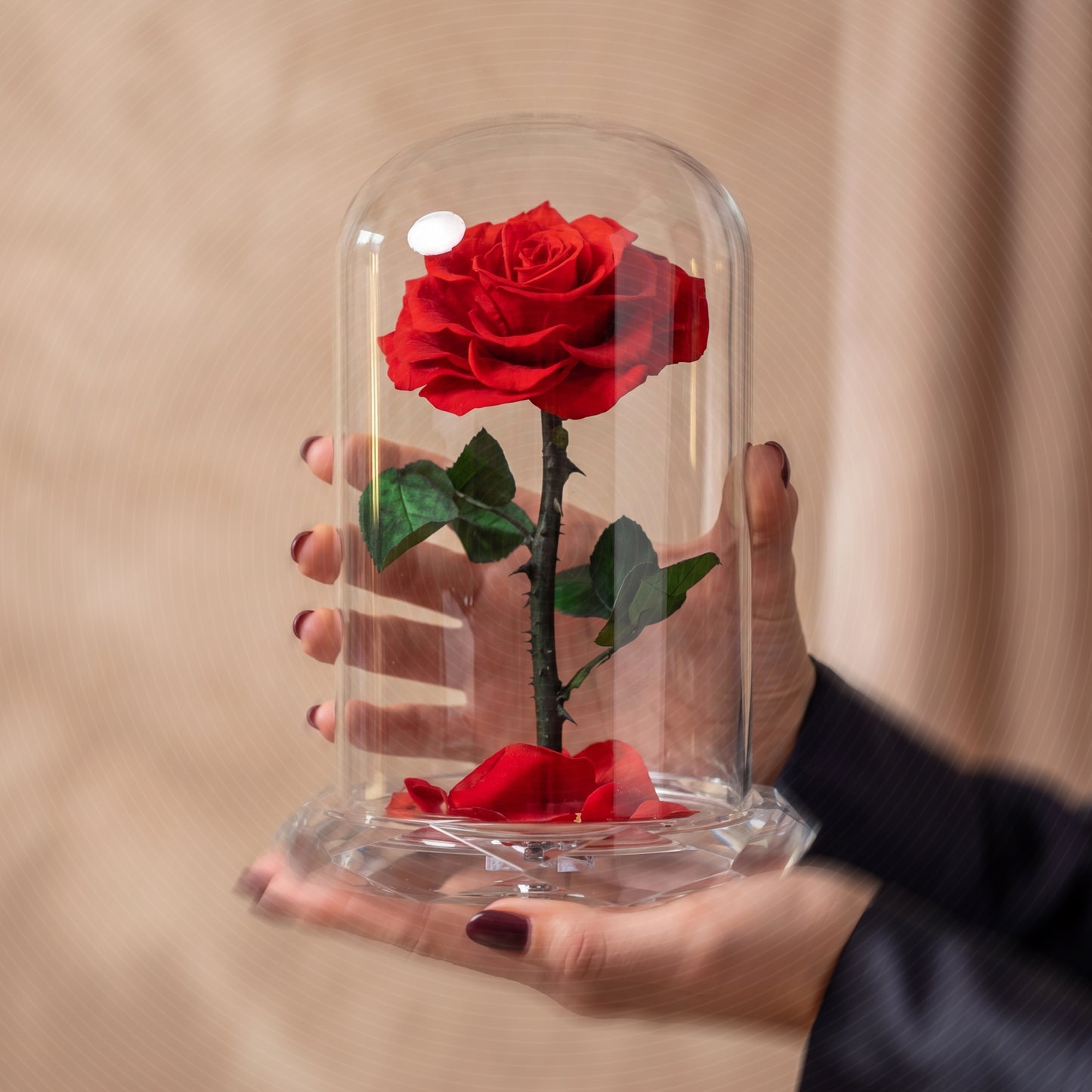 Forever Rose Red