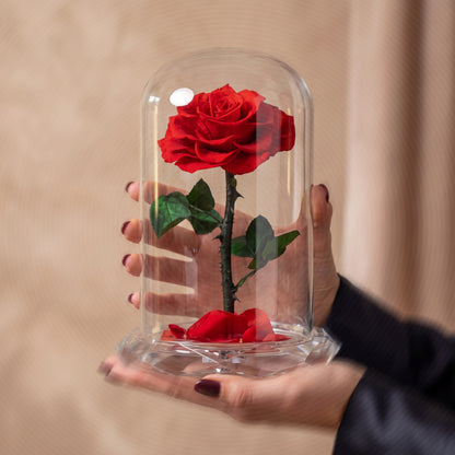 Forever Rose Red