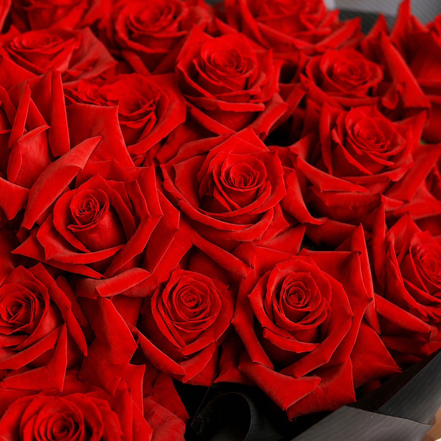 Rouge Amour