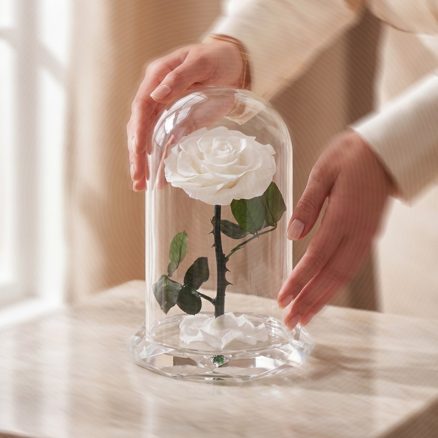 ⁠Forever Rose White